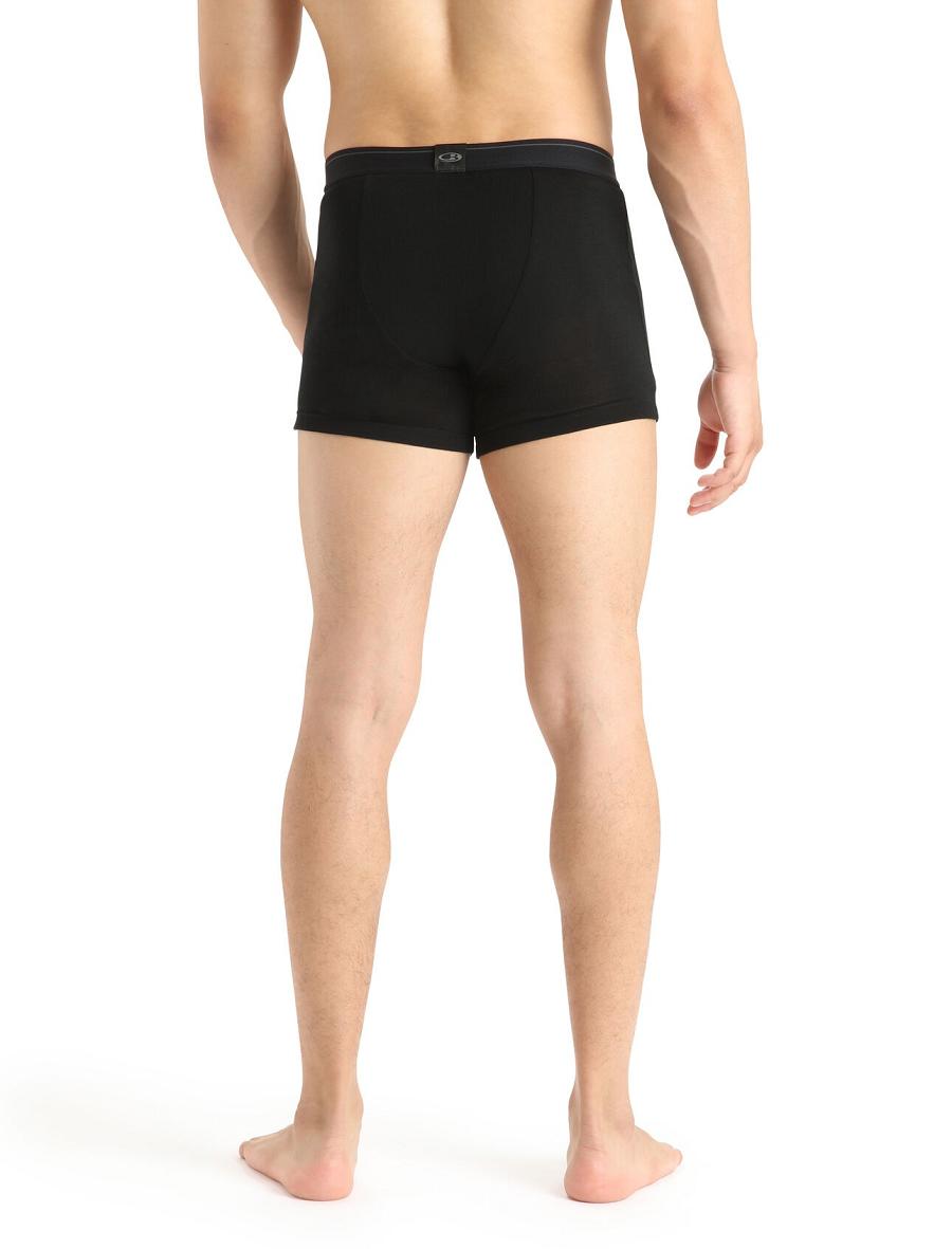 Sous Vêtement Icebreaker Merino 175 Everyday Thermal Boxers With Fly Homme Noir | FR 1293VRWD